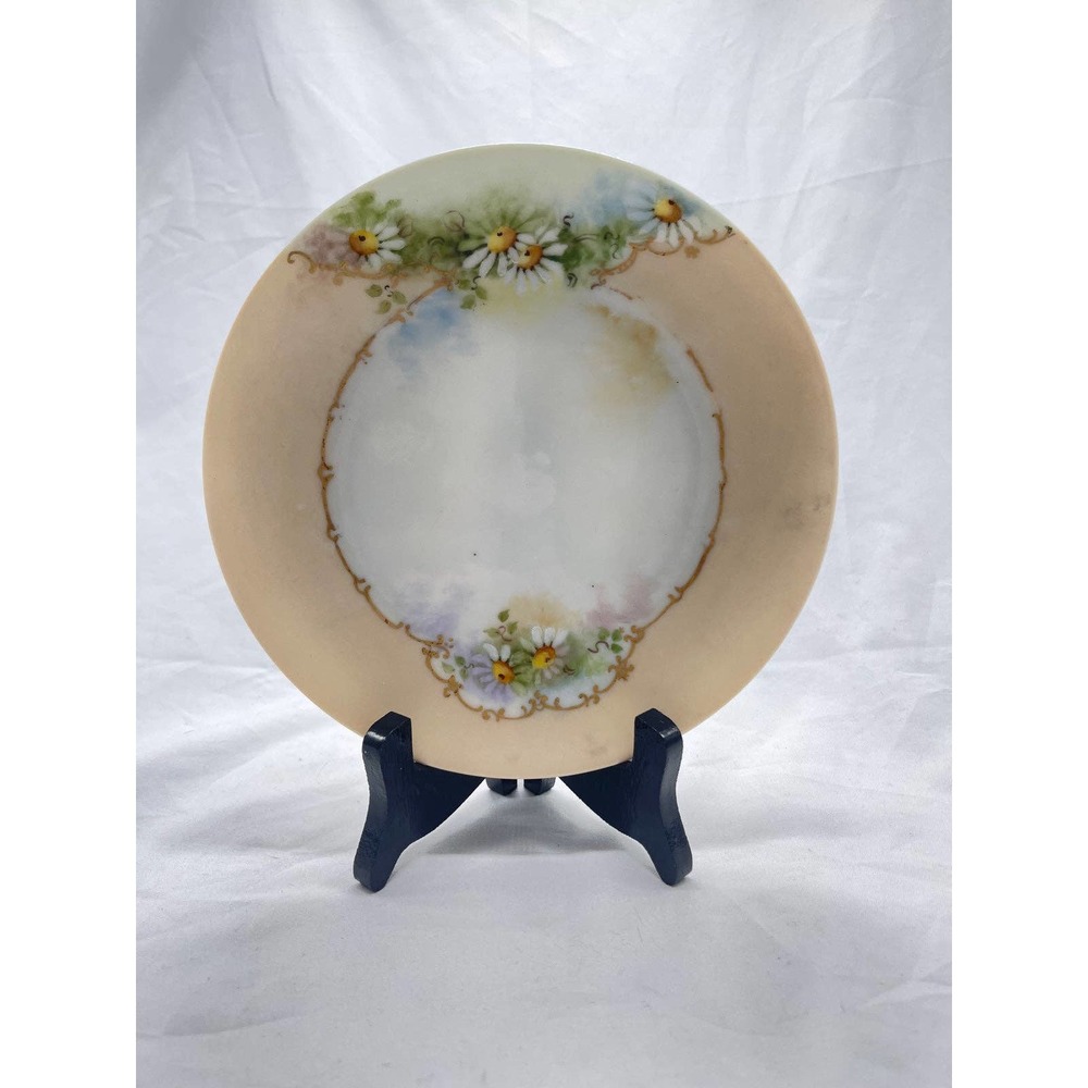 VTG/Antique hand painted bone China plate